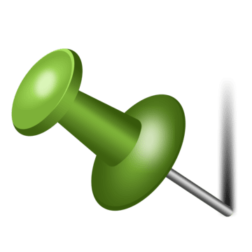 Pin Icon